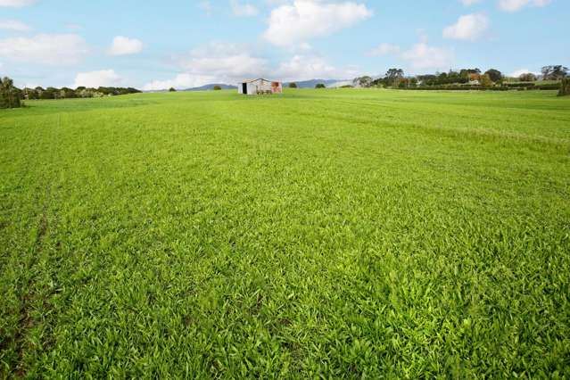 142 Hutchings Road Waiuku_1