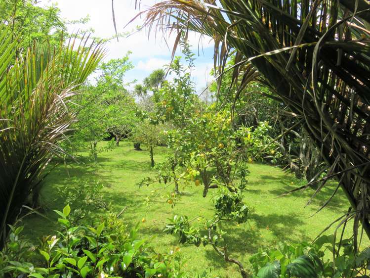 112 Colville Road Dargaville_22