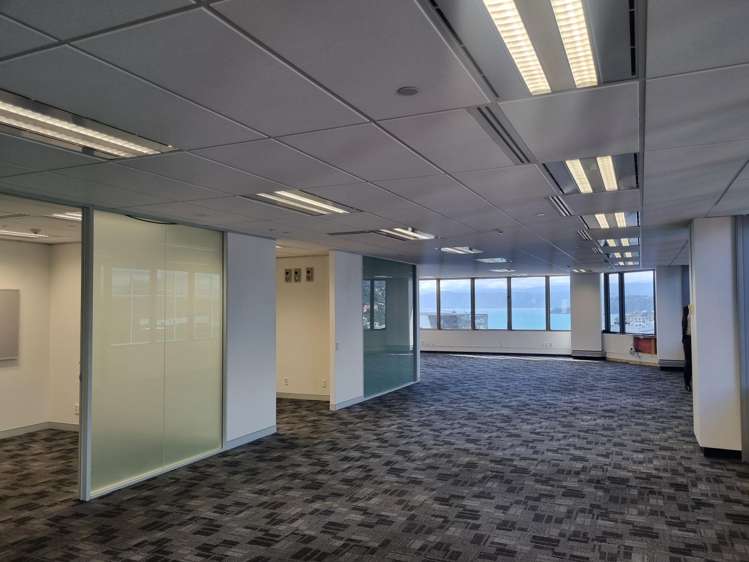 113 The Terrace Wellington Central_2