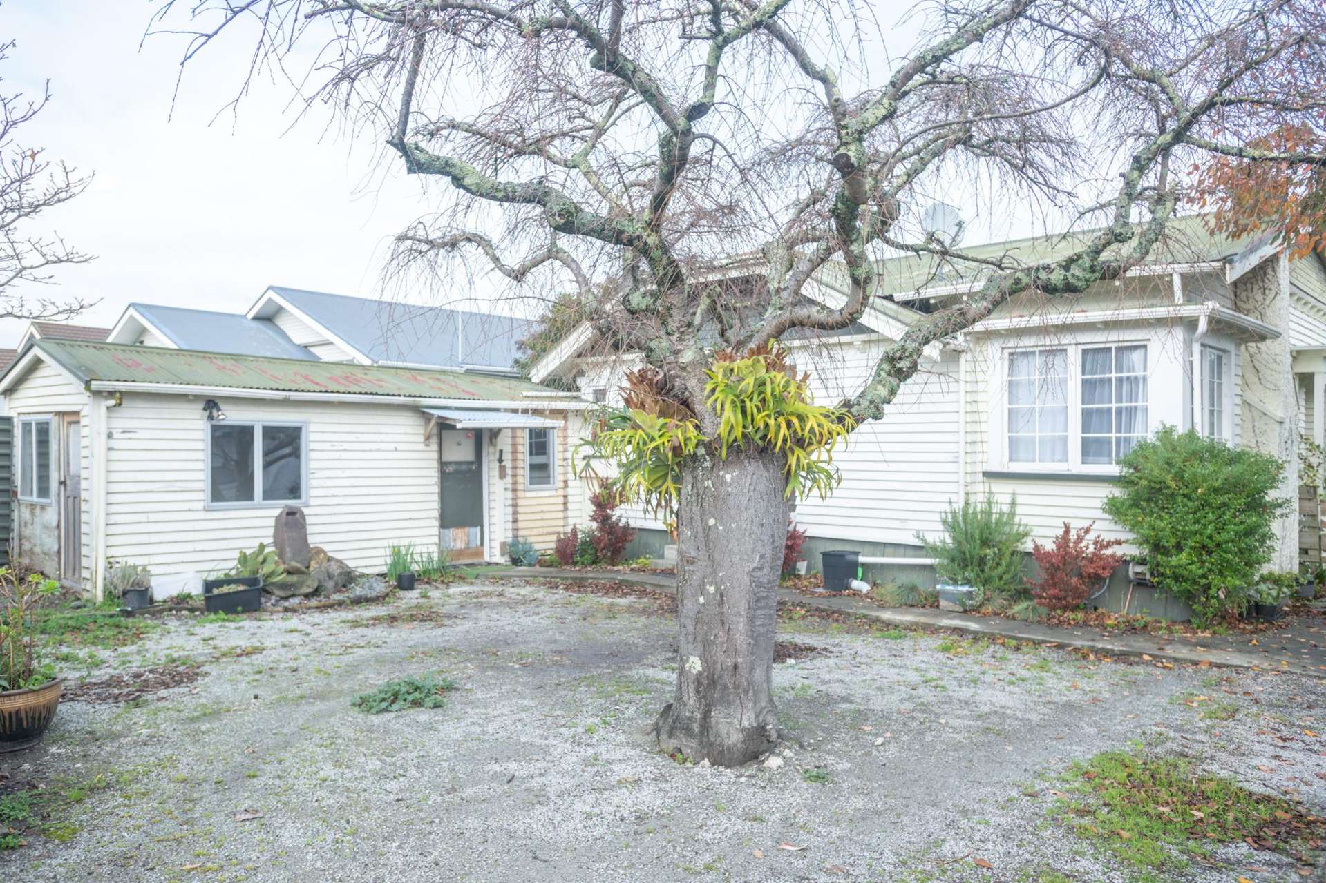 121 Iranui Road Inner Kaiti_0