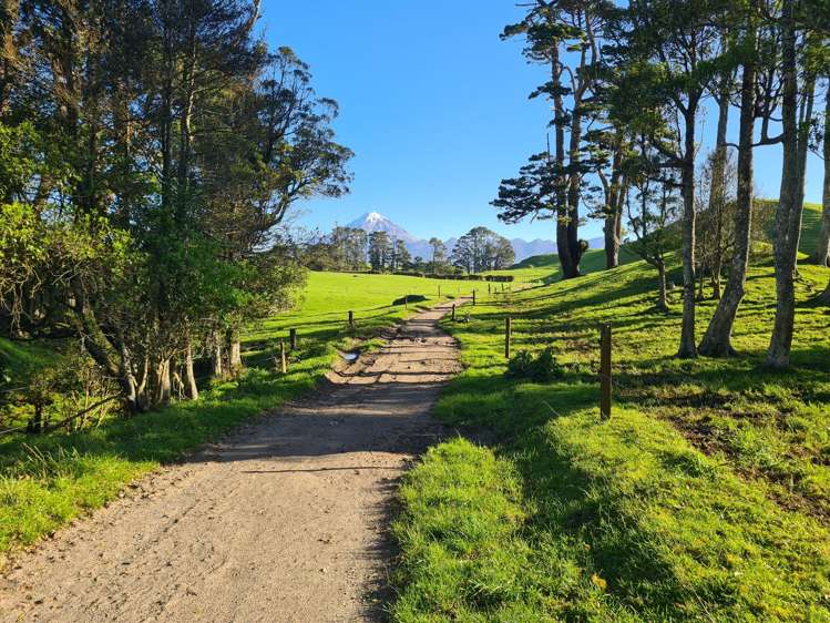 801 Mangorei Road Mangorei_20