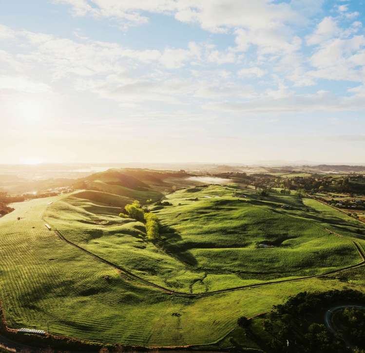 2324 Cove Road Mangawhai_30