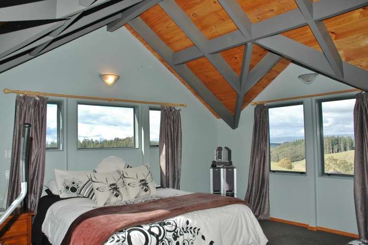 491 Palmer Mill Road Wairakei and Surrounds_13