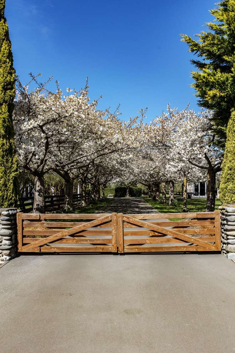 184 Vicenza Drive Ohoka_44