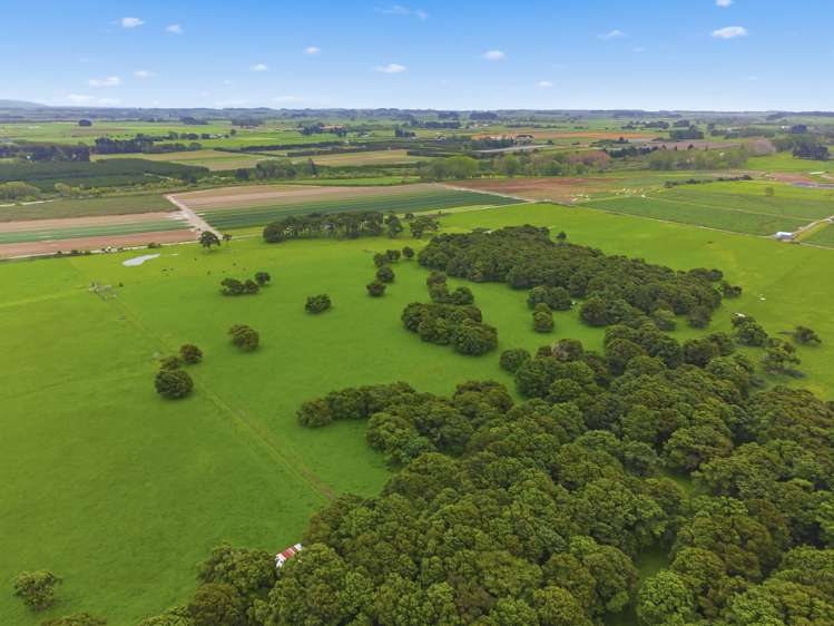 81 Muhunoa West Road Ohau_26