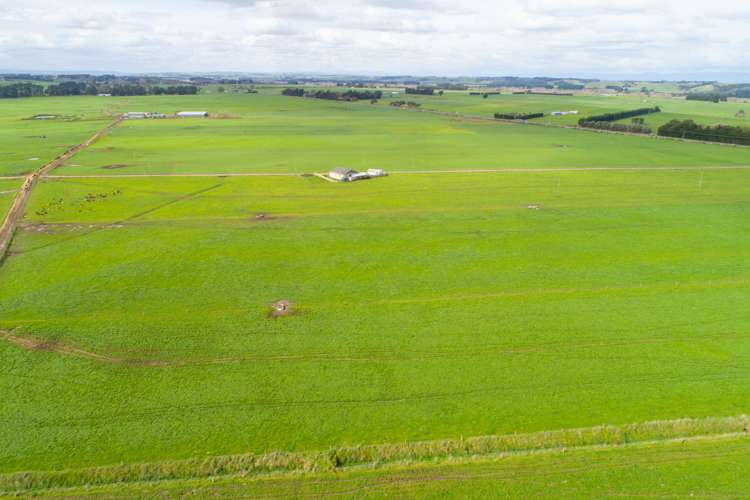 287 State Highway 1 Bulls_15