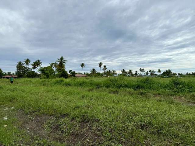 COMMERCIAL LAND LOVU LAUTOKA