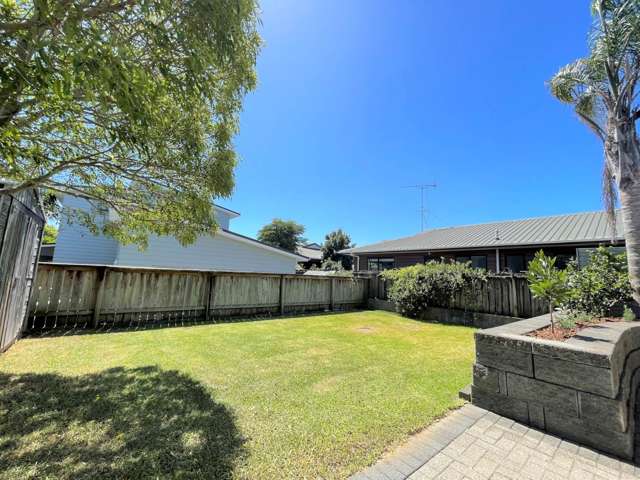 86a Ballarat Street Ellerslie_3