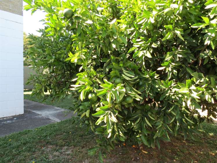 1/58a William Street Richmond_15