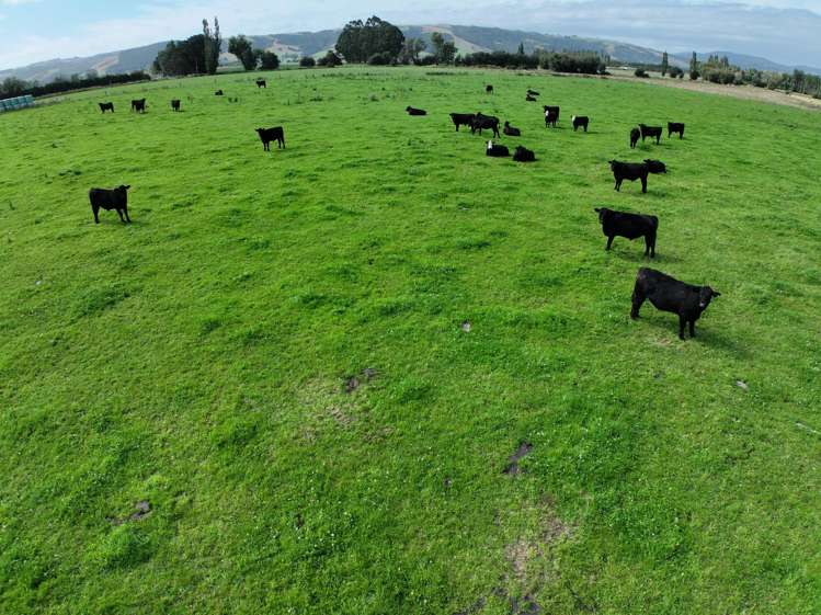 305 Riverside Road Taieri Plain_10