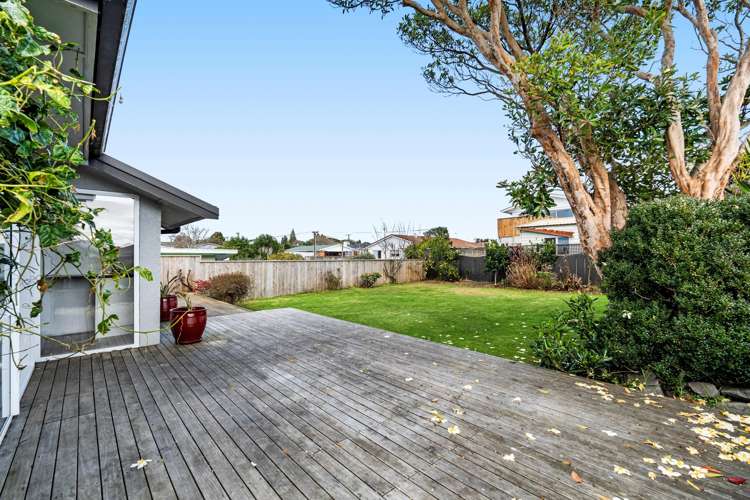 228 Carrington Street Vogeltown_16