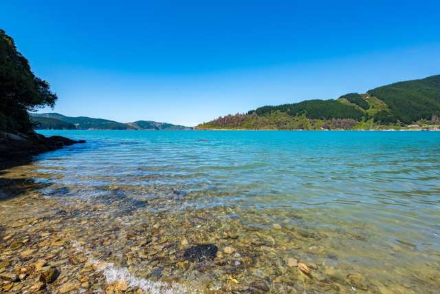 Lot 1 Tumbledown Bay Road Marlborough Sounds_2