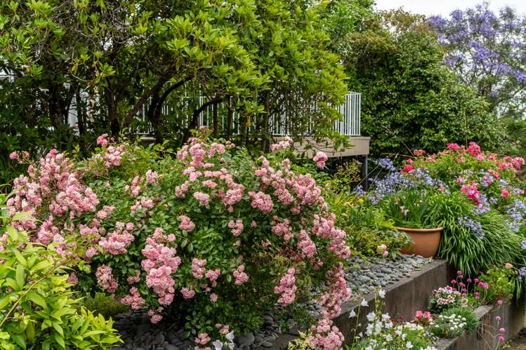 17 Johnsview Terrace Hillcrest_7