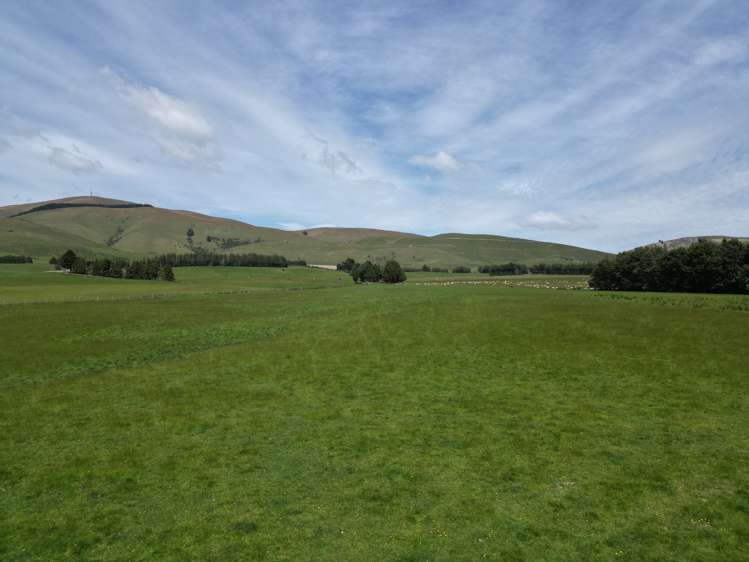 56 Hillfoot Road Clinton_15