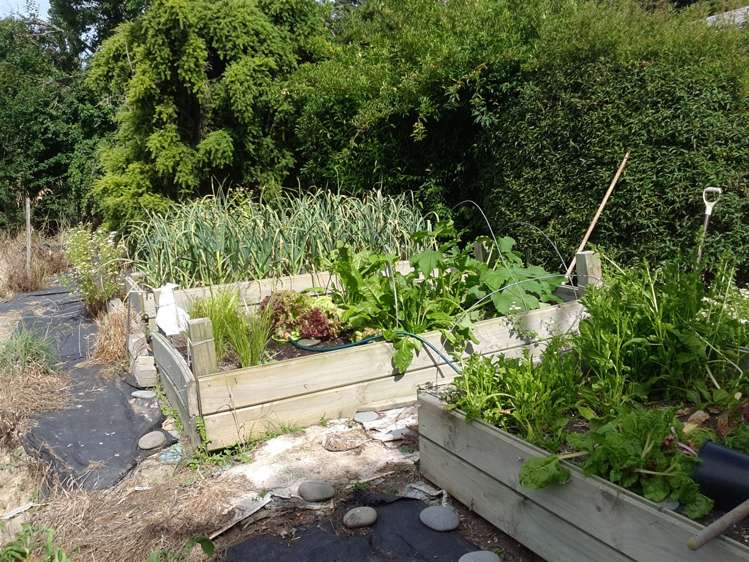 417 Waihaorunga Back Road Elephant Hill_14