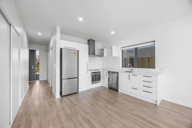 17 Mount Nicholas Avenue_4