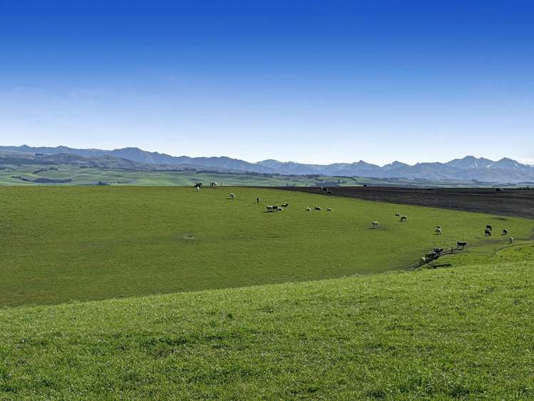 Round Hill Road Five Forks and Surrounds_7