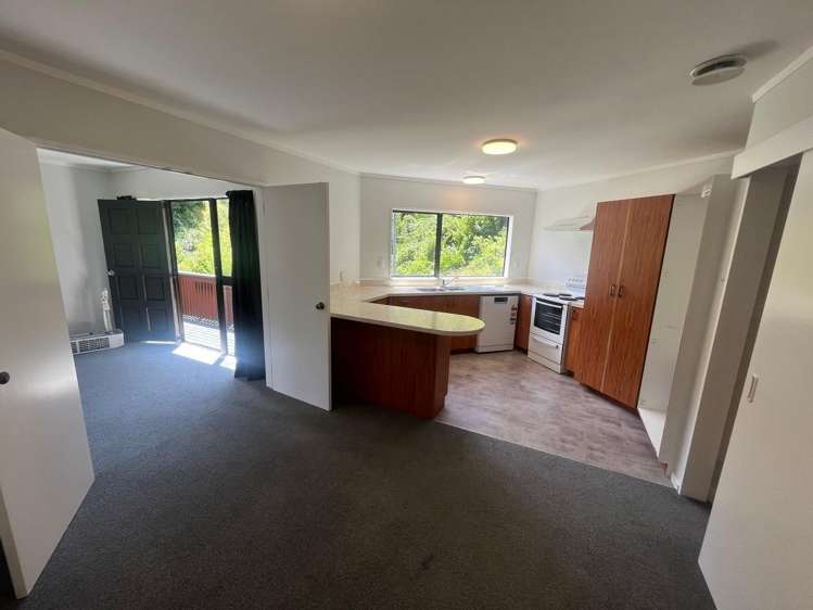 48 Norway Street Aro Valley_12