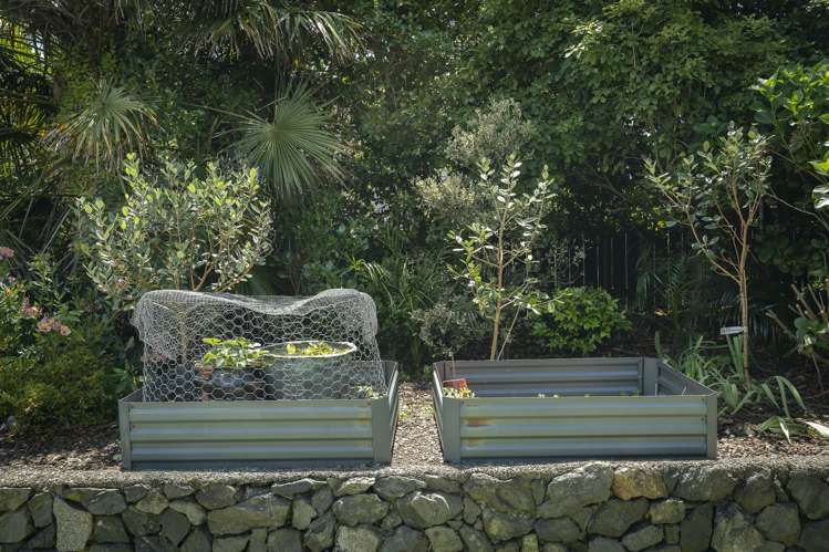 10 Te Puia Street Kamo_19