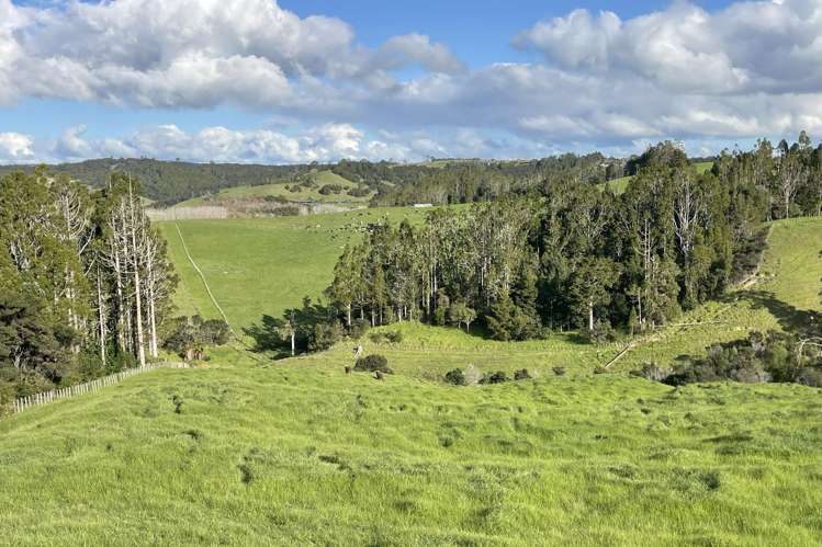 140 Te Arai Point Road Te Arai_18