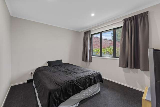 5a Mckenzie Street Levin_4