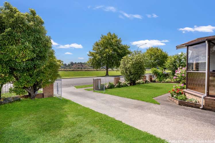 329 Westminster Ave Tamatea_3