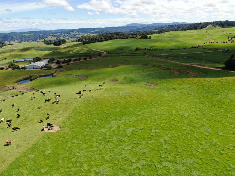 537 Tapuwae Road Benneydale_17