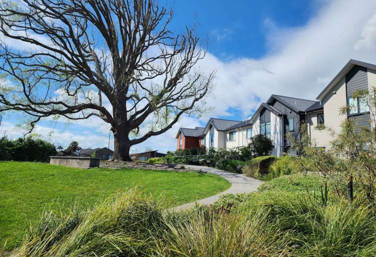 20 Nganui Avenue "Waiata Shores" Auckland_1