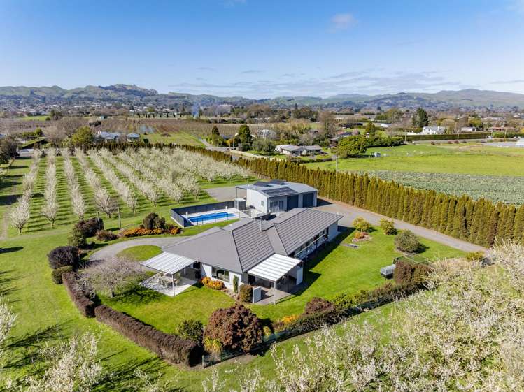 1280 Howard Street Parkvale_22