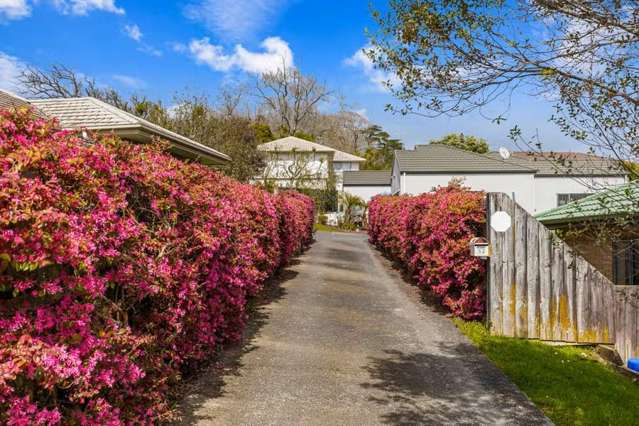  52 Hewlett Road Massey_2