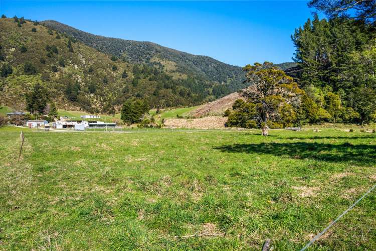 561 Opouri Road Rai Valley_25