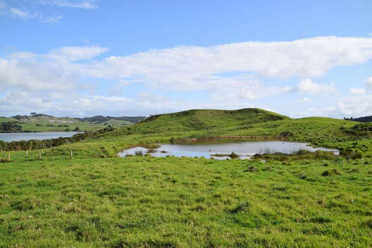 65 Hinamoki Drive Kaiwaka_5