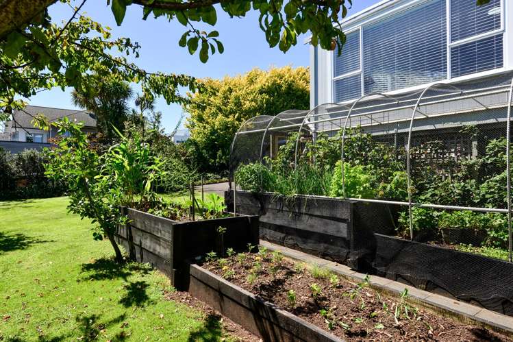 2 Joffre Street Frankton_31