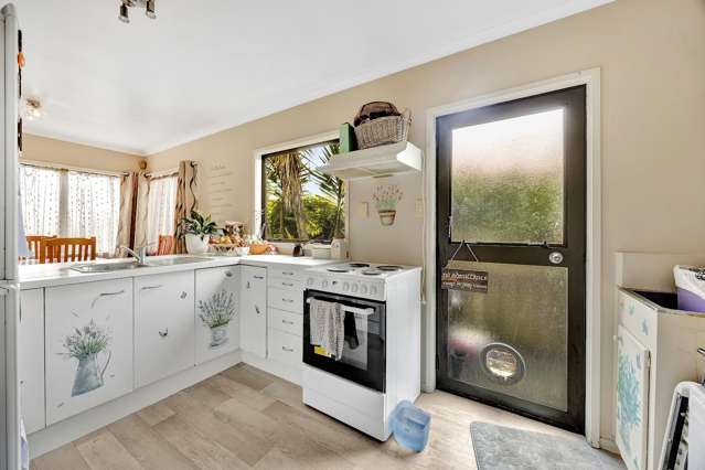 11 Caulfield Place Nawton_4