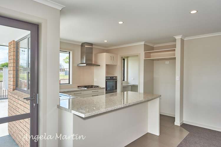 80 Pascal Street Palmerston North Central_3