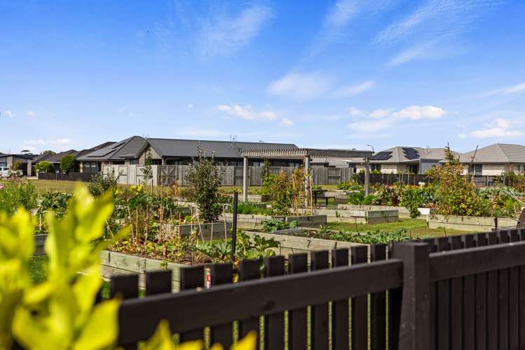 3 Crest Way Papamoa_18