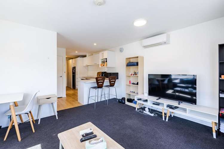 7/377 Leith Street North Dunedin_1