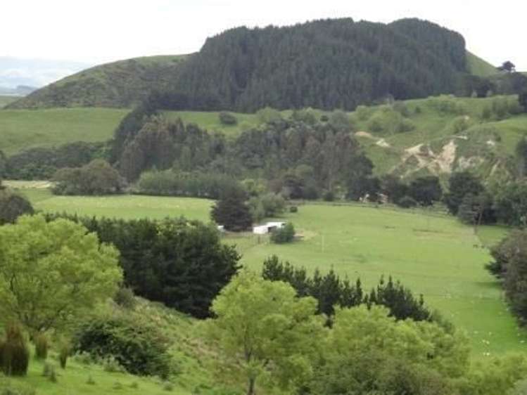 110 Waituna Road Pahiatua_17