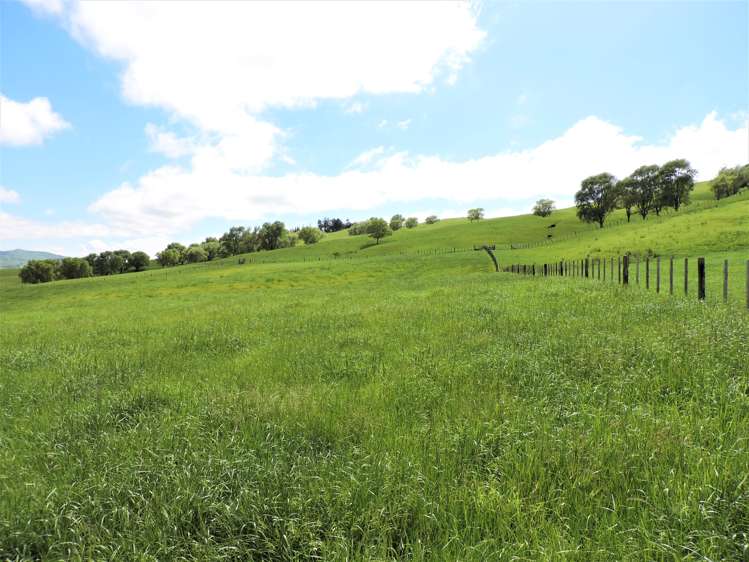 53 Jones Road Porangahau_18