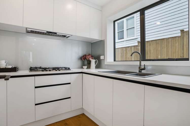 17 Dexter Avenue Mount Eden_10