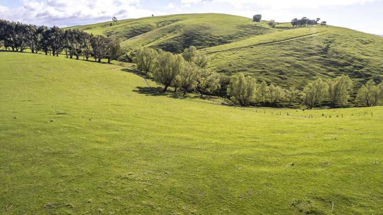 72 Te Hau Road Masterton_20