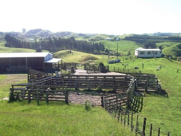 446 Stanley Road Te Popo_18