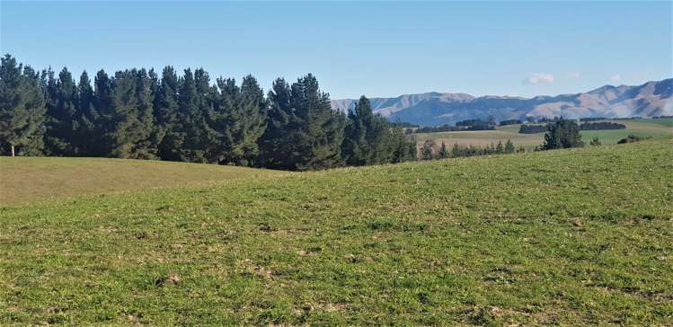 17 Esk Bank Road Otaio_1