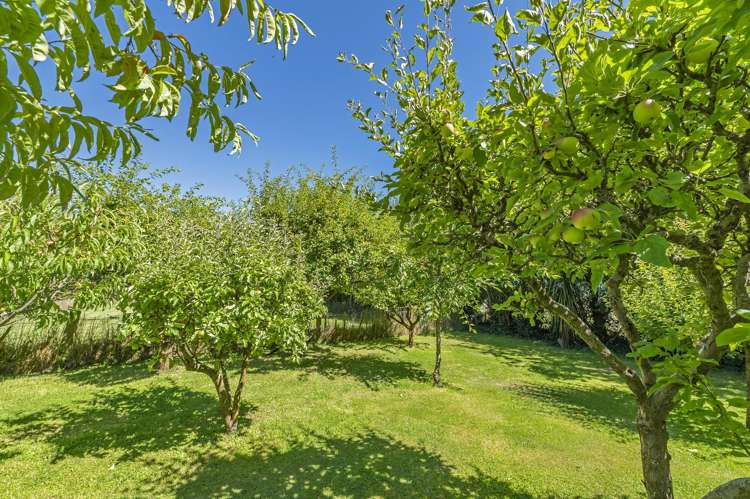 149 High Street Leeston_27