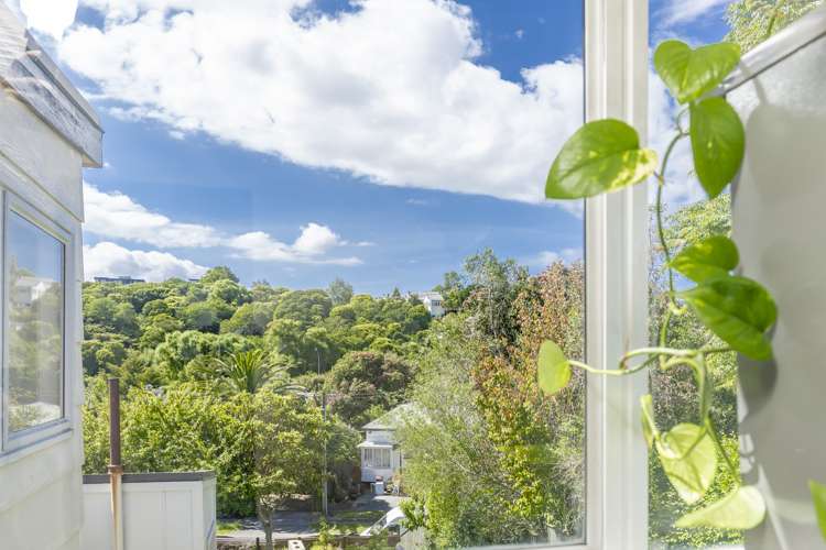 5 Third Avenue Kingsland_21