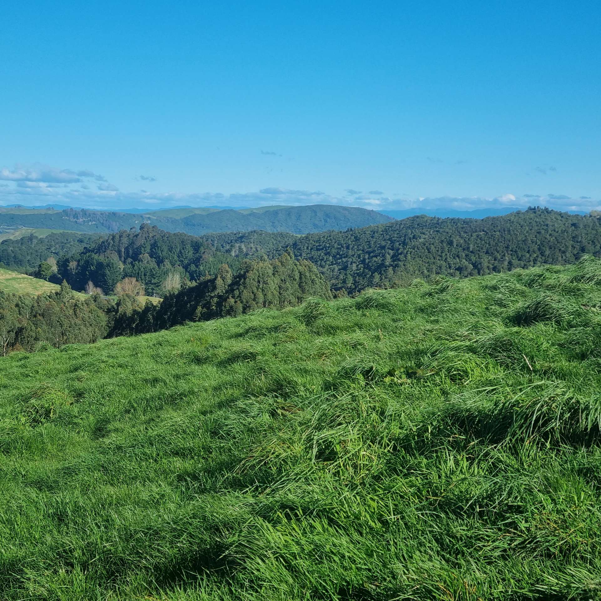 111 Otake Road Marotiri_0