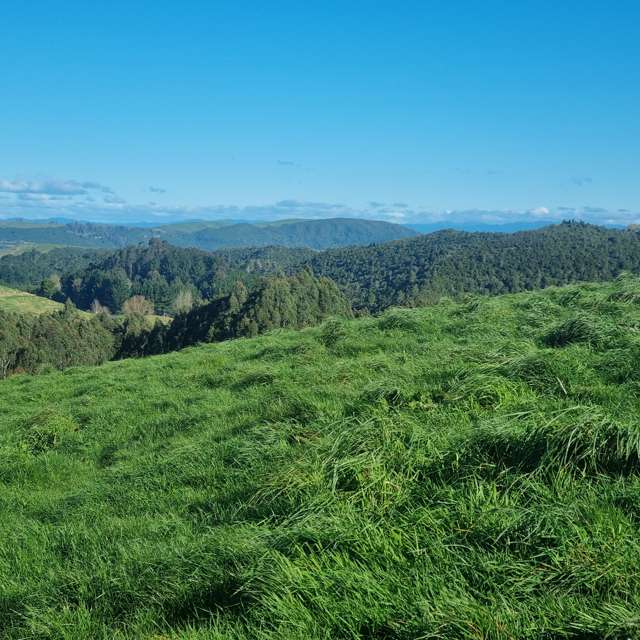 111 Otake Road Marotiri_4