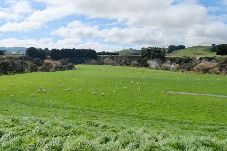 63 Hamilton Road Dannevirke_24