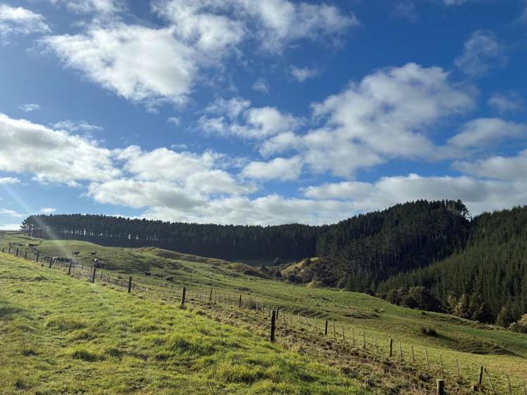 Milne Road Purua_8