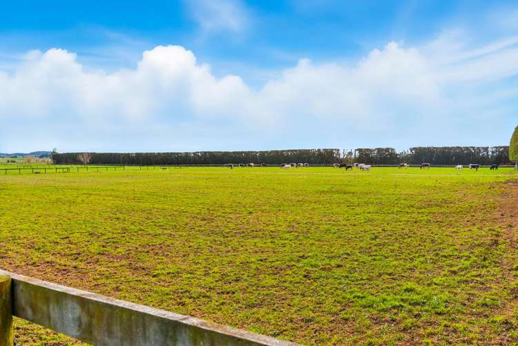 70 Joblins Road Levin_47
